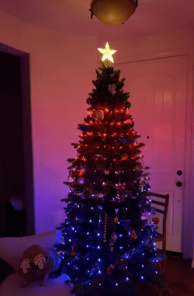 Lumo Tree na choince – góra w czerwieni, dół w błękicie
